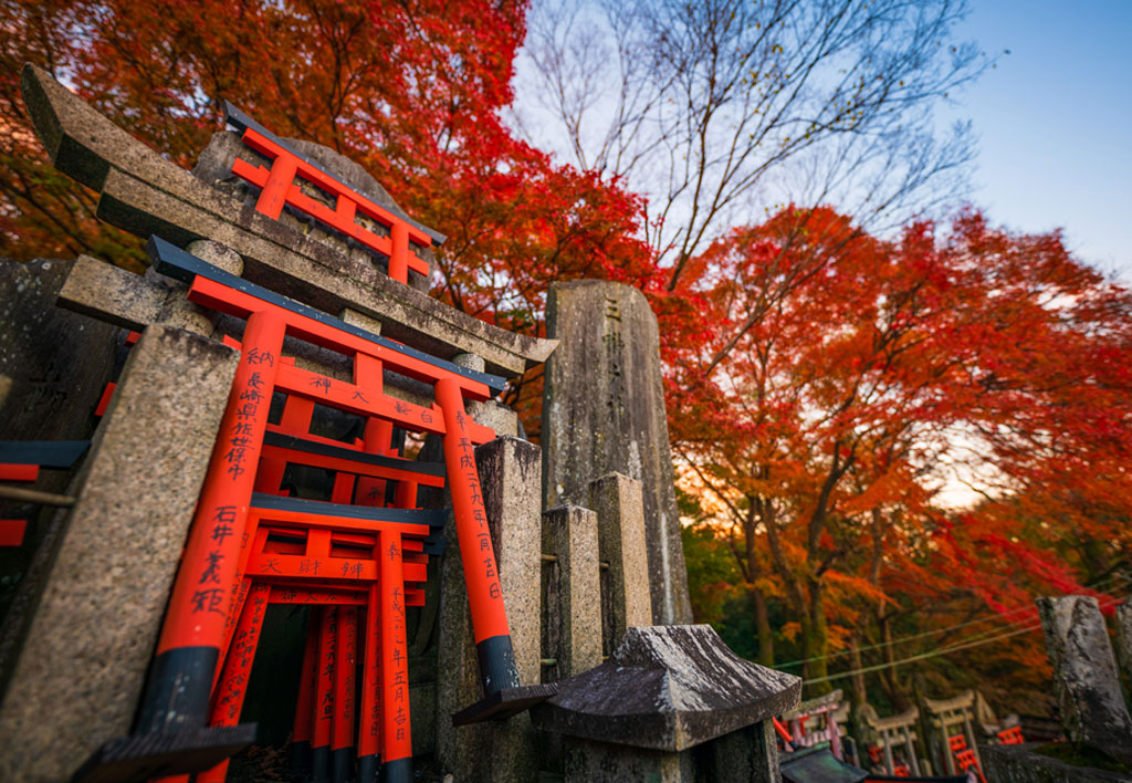 kyoto fushimi inari aceri tour autunno 2024 - sogna viaggi