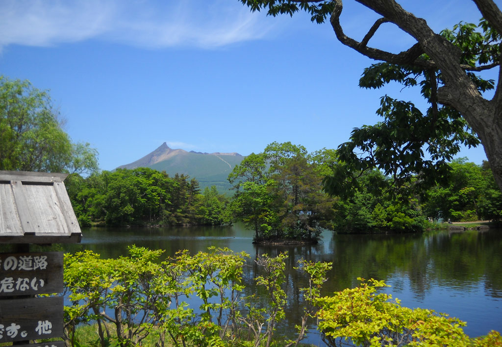 Tour in Giappone Hokkaido Onuma Estate 2024 - Sogna Viaggi 
