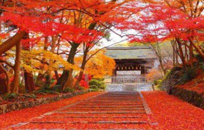 Tour Giappone dei Samurai e momiji - autunno 2024 - Sogna Viaggi