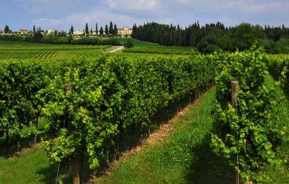 Wine Tour Italia esperienze trekking e picnic nelle terre di Custoza- Sogna Viaggi