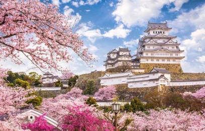 Tour Giappone in Fiore tris Primavera 2025 - Sogna Viaggi