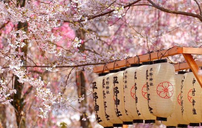 Tour Giappone in fiore - Primavera 2025 - Sogna Viaggi