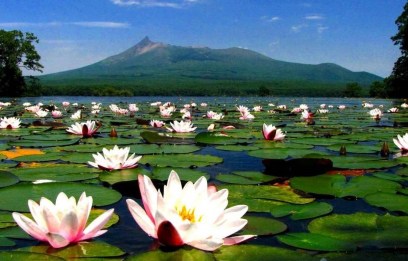 Tour Giappone Natura in Hokkaido estate 2024 - Sogna Viaggi